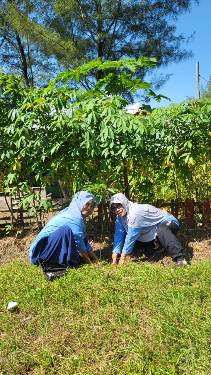 Penanaman Pohon